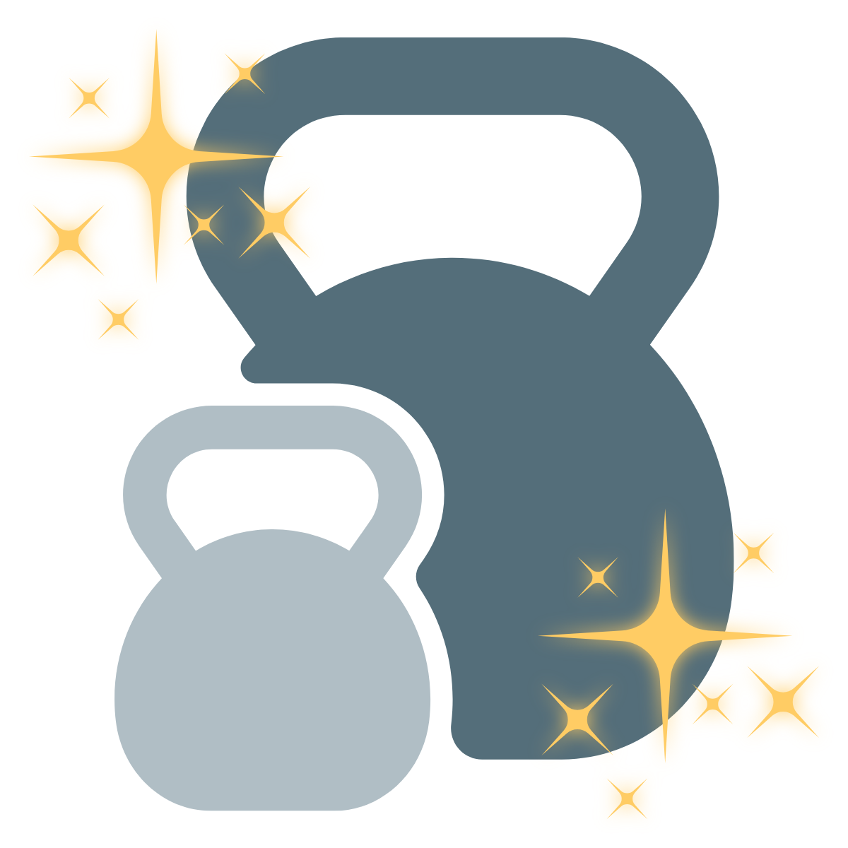 PT Online PREMIUM: 6 månader